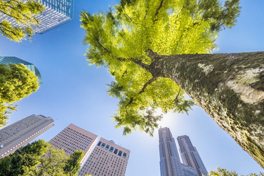 Qu'est-ce que l'écologie urbaine ?